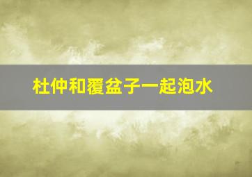 杜仲和覆盆子一起泡水