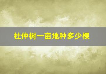 杜仲树一亩地种多少棵