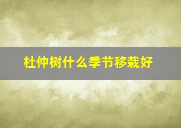 杜仲树什么季节移栽好