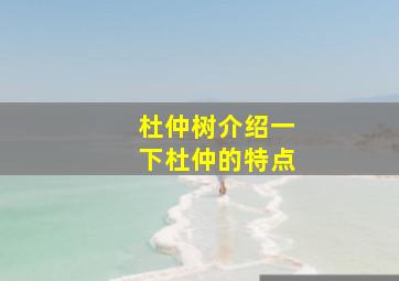 杜仲树介绍一下杜仲的特点