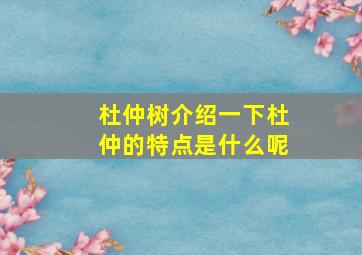 杜仲树介绍一下杜仲的特点是什么呢