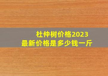 杜仲树价格2023最新价格是多少钱一斤