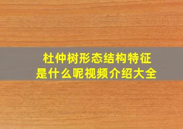 杜仲树形态结构特征是什么呢视频介绍大全