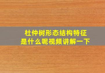 杜仲树形态结构特征是什么呢视频讲解一下