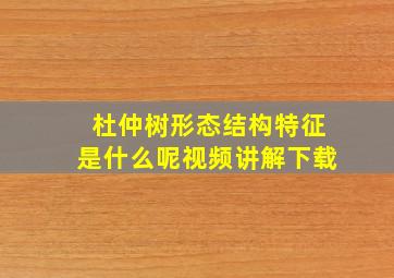 杜仲树形态结构特征是什么呢视频讲解下载