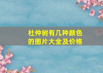 杜仲树有几种颜色的图片大全及价格