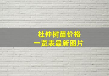 杜仲树苗价格一览表最新图片