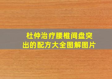 杜仲治疗腰椎间盘突出的配方大全图解图片