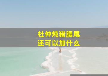 杜仲炖猪腰尾还可以加什么