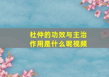 杜仲的功效与主治作用是什么呢视频