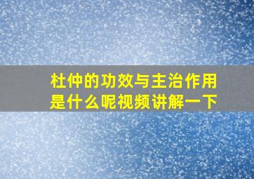 杜仲的功效与主治作用是什么呢视频讲解一下