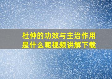 杜仲的功效与主治作用是什么呢视频讲解下载