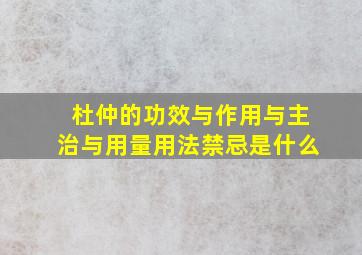 杜仲的功效与作用与主治与用量用法禁忌是什么