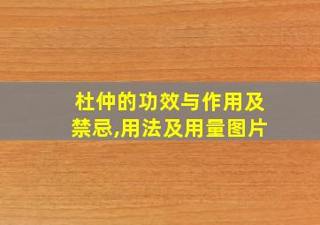 杜仲的功效与作用及禁忌,用法及用量图片