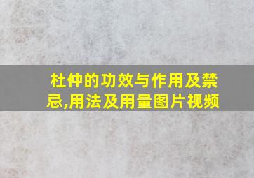 杜仲的功效与作用及禁忌,用法及用量图片视频