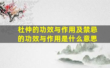 杜仲的功效与作用及禁忌的功效与作用是什么意思