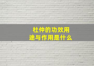 杜仲的功效用途与作用是什么