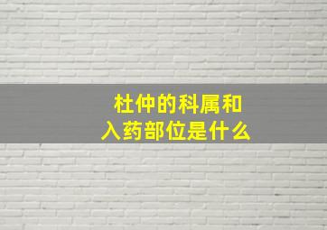 杜仲的科属和入药部位是什么