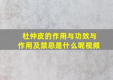 杜仲皮的作用与功效与作用及禁忌是什么呢视频