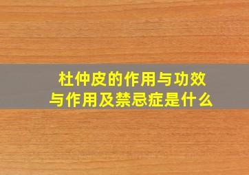 杜仲皮的作用与功效与作用及禁忌症是什么