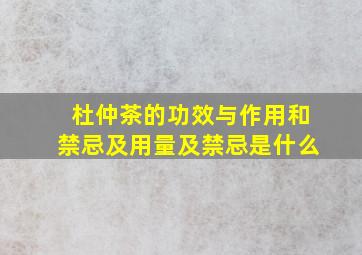 杜仲茶的功效与作用和禁忌及用量及禁忌是什么