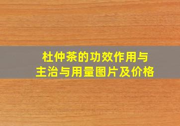 杜仲茶的功效作用与主治与用量图片及价格