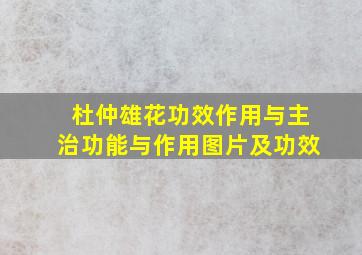 杜仲雄花功效作用与主治功能与作用图片及功效