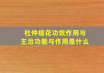 杜仲雄花功效作用与主治功能与作用是什么