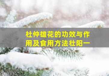 杜仲雄花的功效与作用及食用方法壮阳一