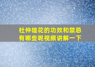 杜仲雄花的功效和禁忌有哪些呢视频讲解一下