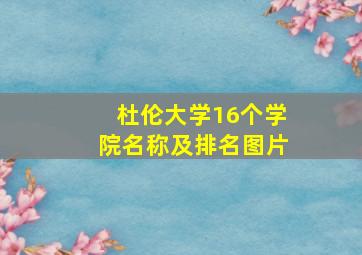 杜伦大学16个学院名称及排名图片