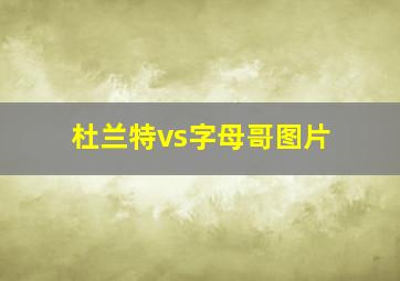 杜兰特vs字母哥图片