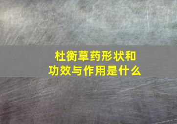 杜衡草药形状和功效与作用是什么