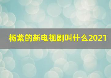 杨紫的新电视剧叫什么2021