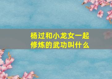 杨过和小龙女一起修炼的武功叫什么