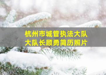 杭州市城管执法大队大队长顾勇简历照片