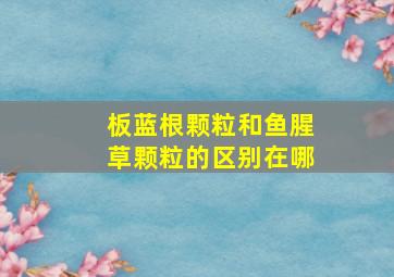 板蓝根颗粒和鱼腥草颗粒的区别在哪