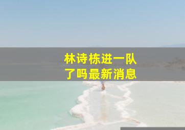 林诗栋进一队了吗最新消息