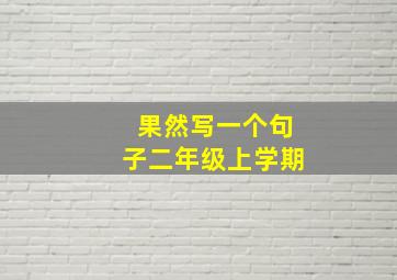 果然写一个句子二年级上学期