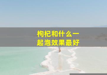 枸杞和什么一起泡效果最好