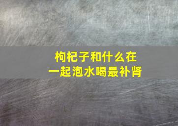 枸杞子和什么在一起泡水喝最补肾