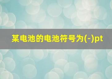 某电池的电池符号为(-)pt