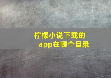 柠檬小说下载的app在哪个目录