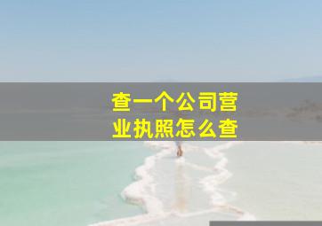 查一个公司营业执照怎么查