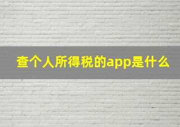 查个人所得税的app是什么