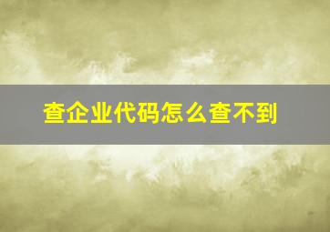 查企业代码怎么查不到