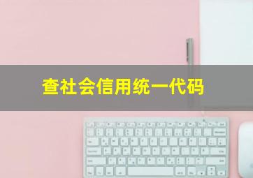 查社会信用统一代码