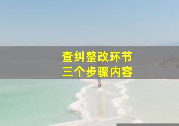 查纠整改环节三个步骤内容