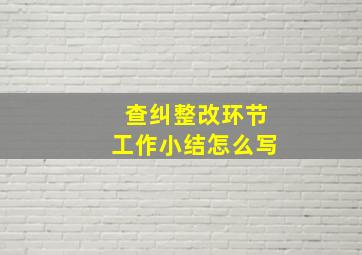 查纠整改环节工作小结怎么写