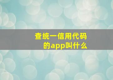 查统一信用代码的app叫什么